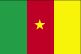 flag of Camerun 