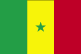flag of Senegal 