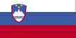 flag of Slovenia 