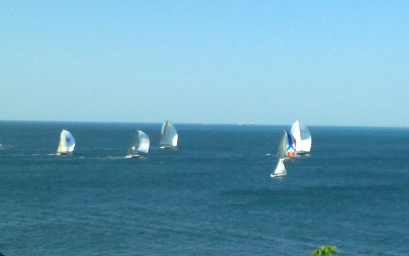 sailboats